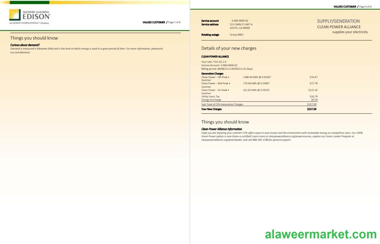USA Southern California EDISON utility bill, Word and PDF template, 8 pages 5 6